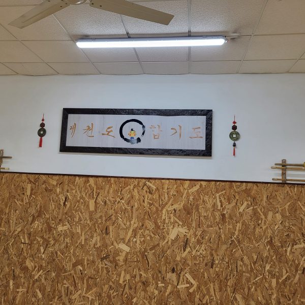 cuadro sala de artes marciales