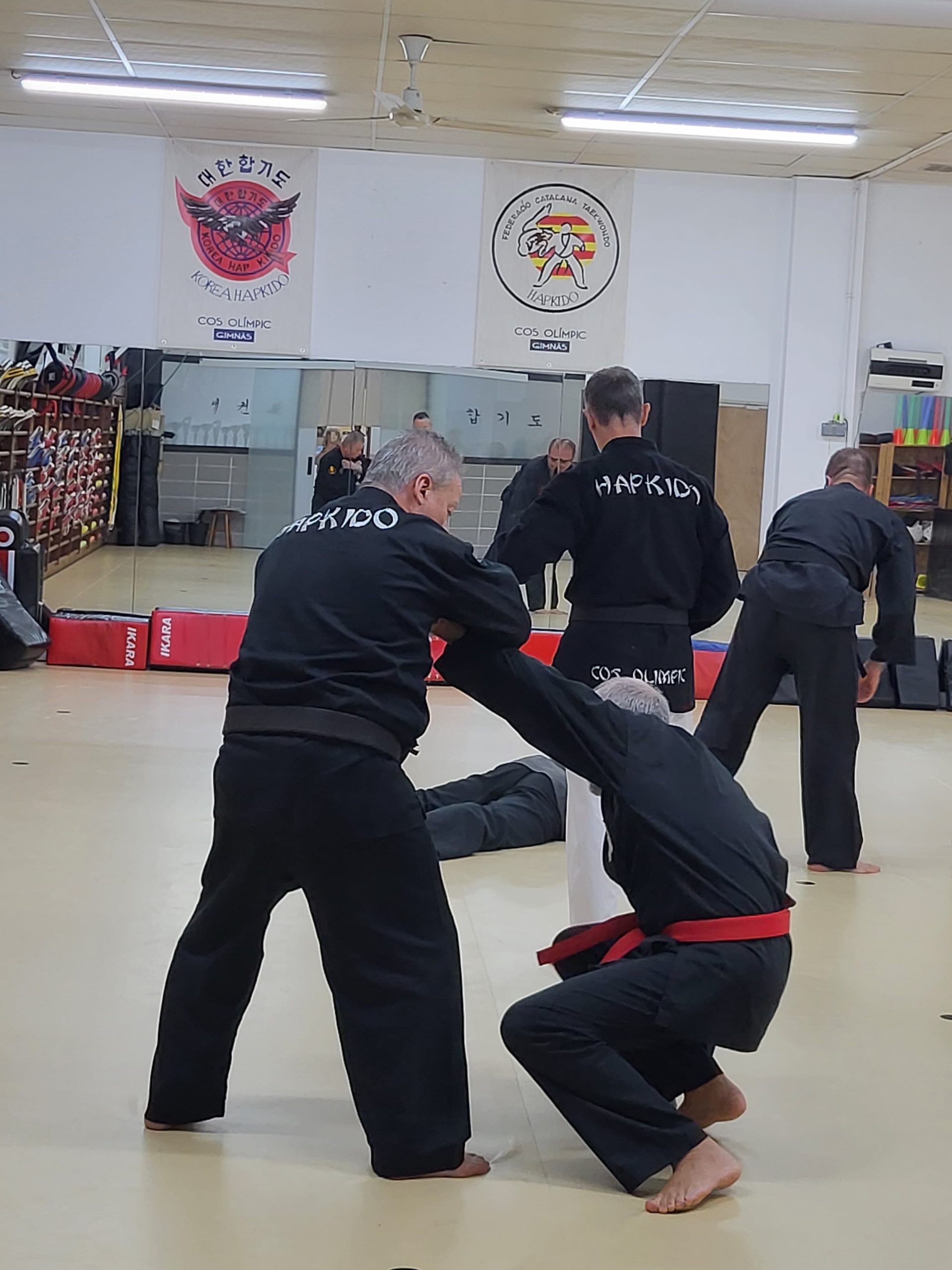 clase de hapkido