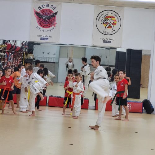 clase de tawkdonwo infantil